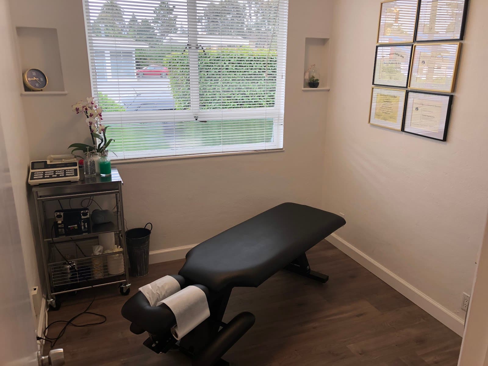 Dr. Hamed Alereza, Chiropractor in San Mateo, CA Dr. Hamed Alereza, Chiropractor