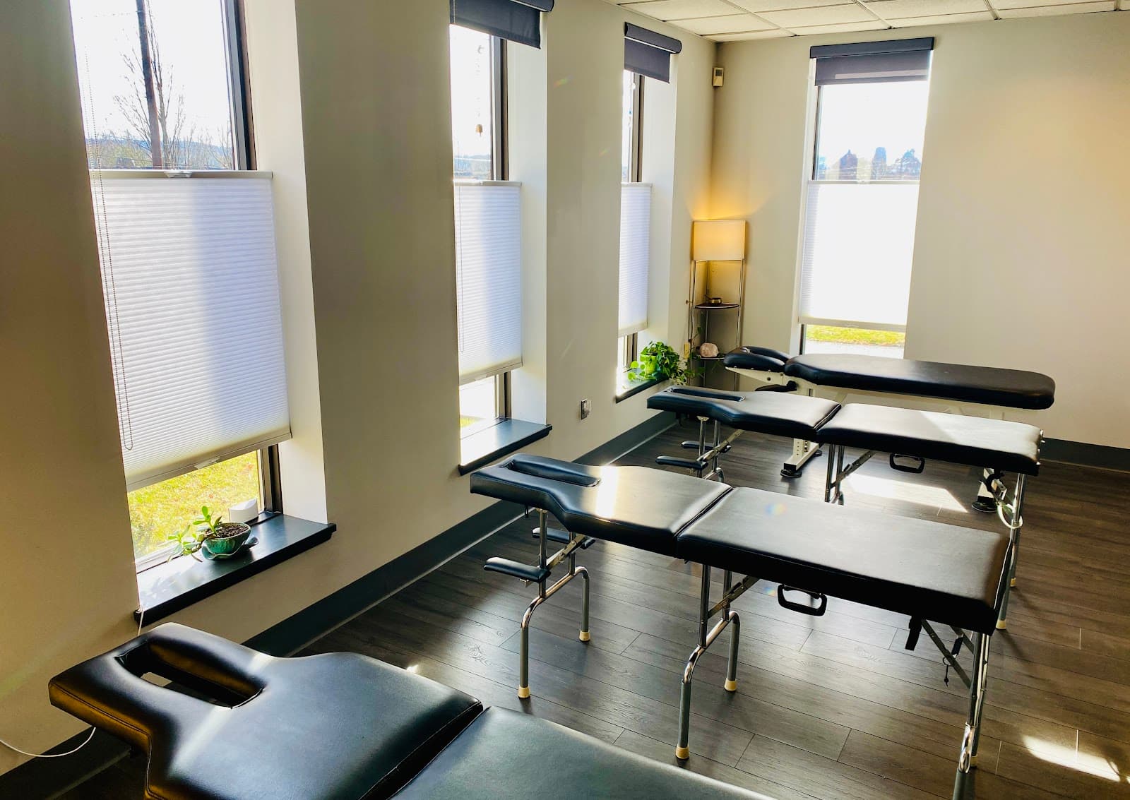 Healing Wave Chiropractic, P.C. photo