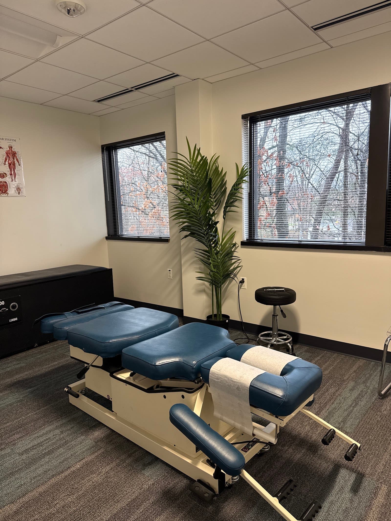 Injury Relief Chiropractic - Alexandria photo