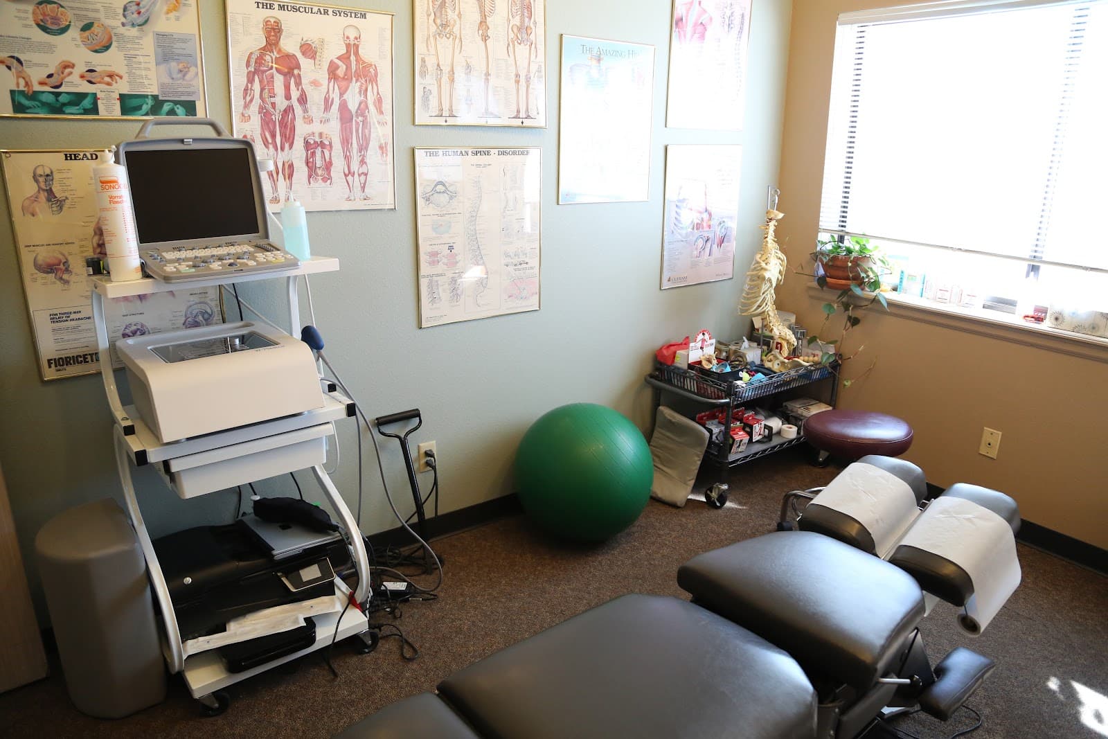 Springs Chiropractic in Colorado Springs, CO Springs Chiropractic