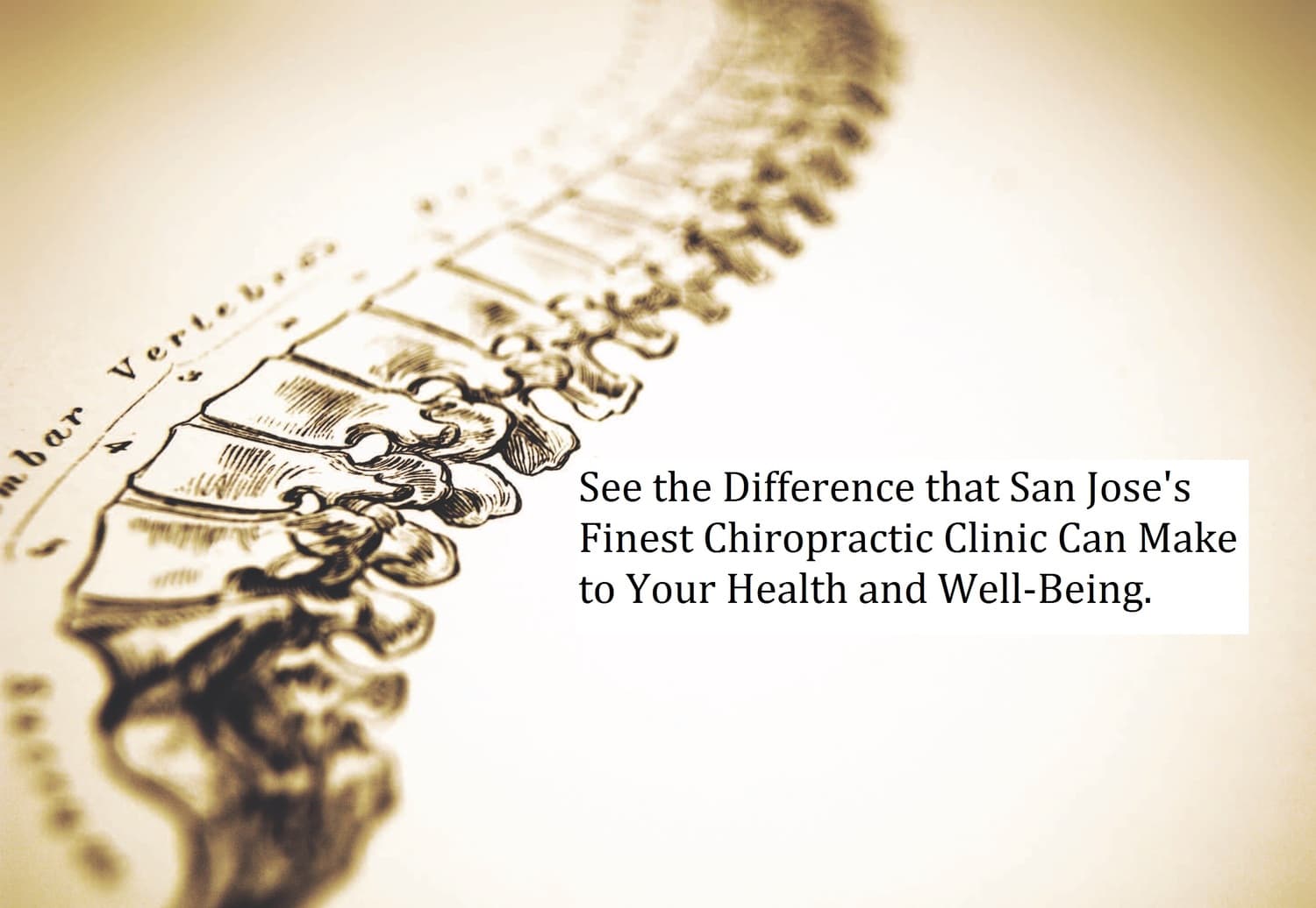 Whole Body Chiropractic & Massage in San Jose, CA Whole Body Chiropractic & Massage
