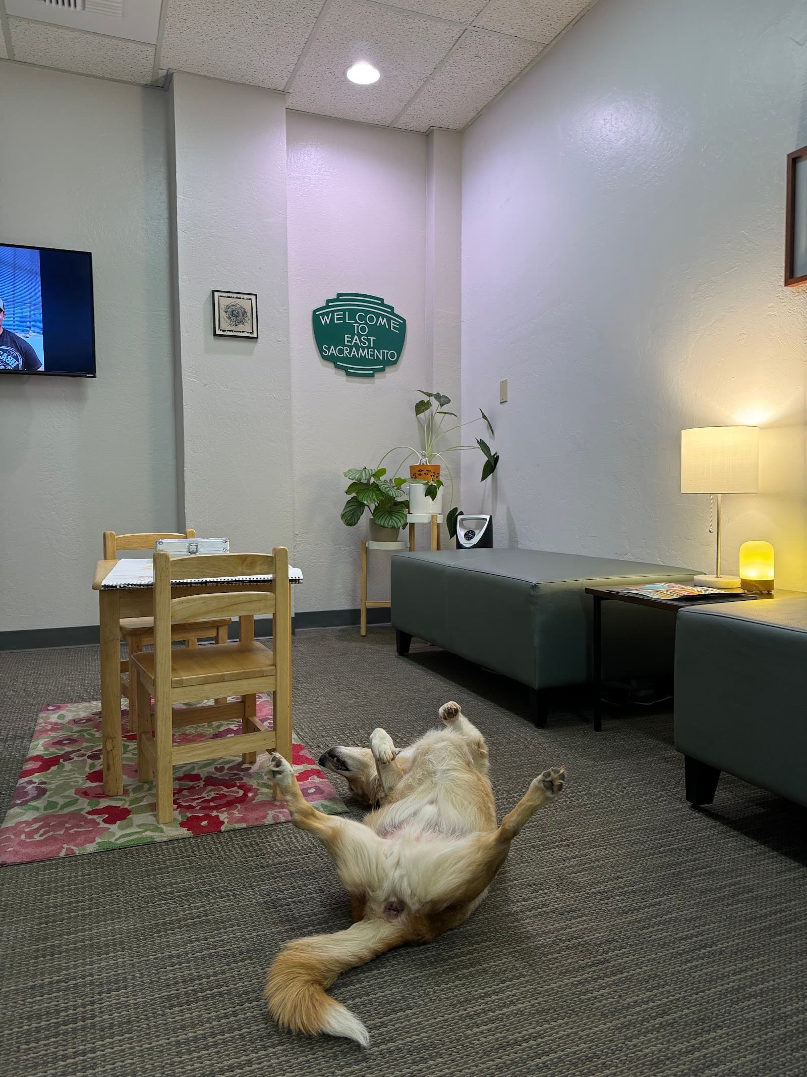 ACME Chiropractic in Sacramento, CA ACME Chiropractic