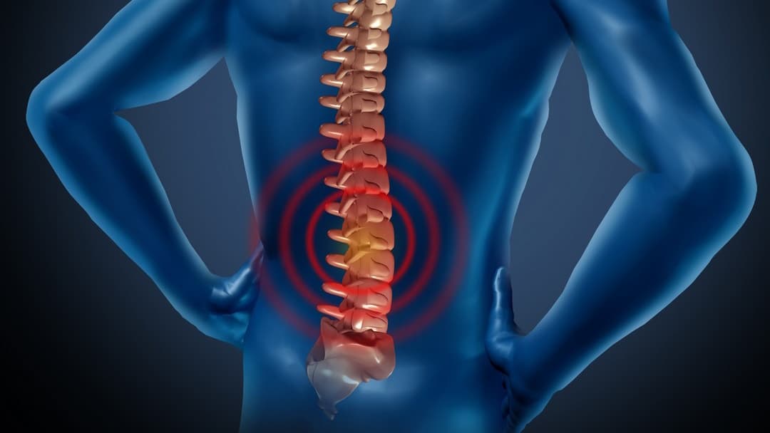 Rosa Chiropractic Center in Waterbury, CT Rosa Chiropractic Center