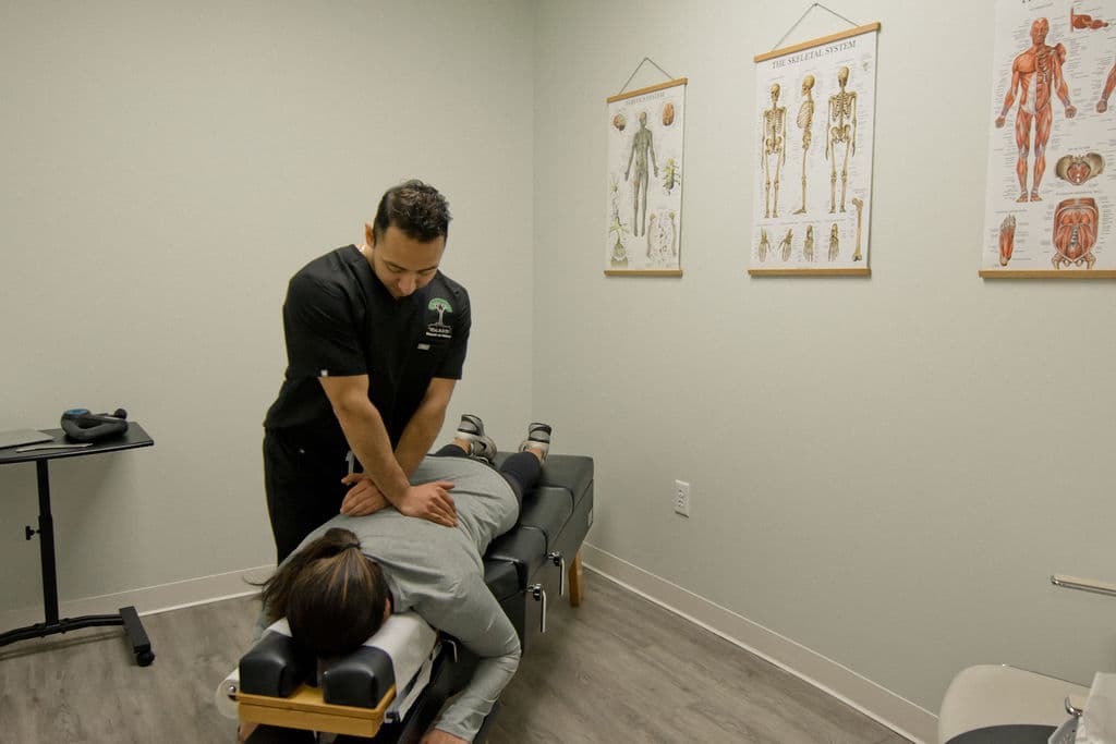 Vital Roots Chiropractic and Wellness in Buffalo, NY Vital Roots Chiropractic and Wellness