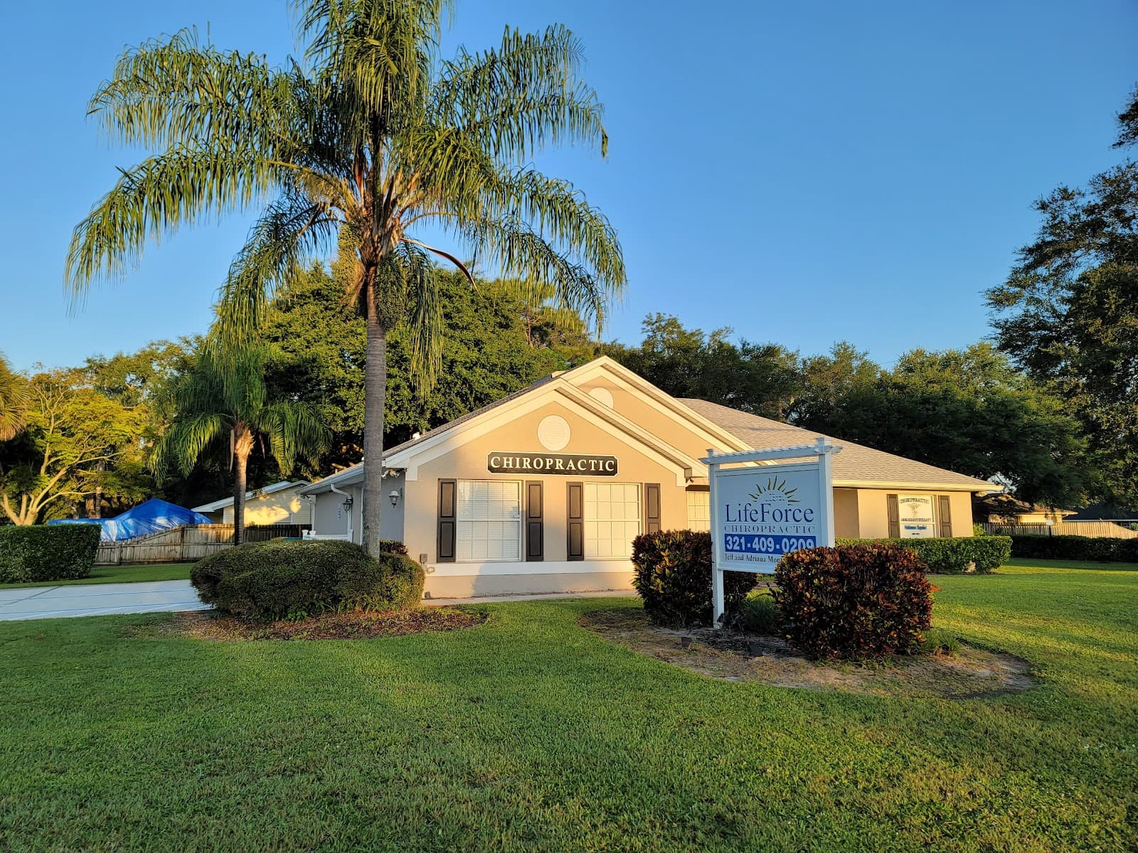 LifeForce Chiropractic in Palm Bay, FL LifeForce Chiropractic