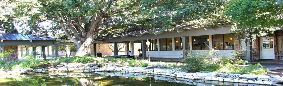 Austin Life Chiropractic Austin Life Chiropractic