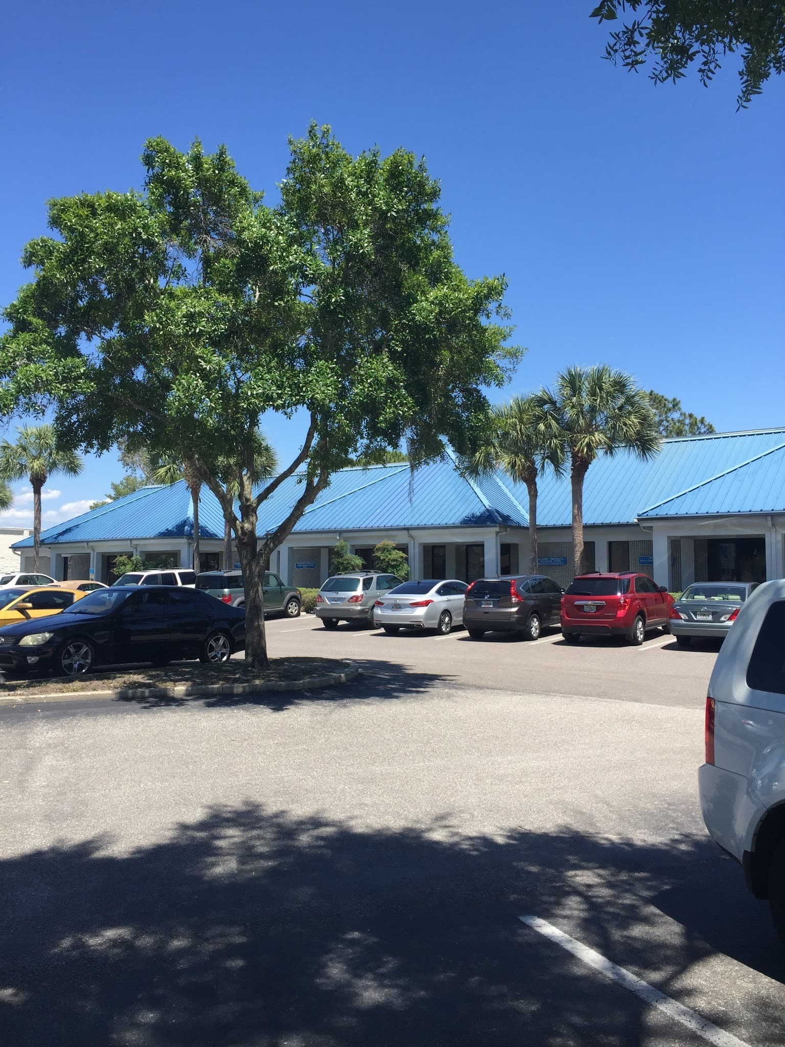 Farkas Chiropractic Clinic in Clearwater, FL Farkas Chiropractic Clinic